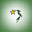 Dancing Star Horticulture LLC logo